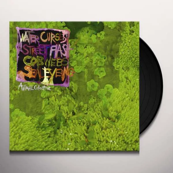 Animal Collective – Water Curses